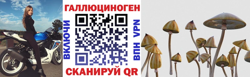 Псилоцибиновые грибы мицелий  MEGA ONION  Игра 